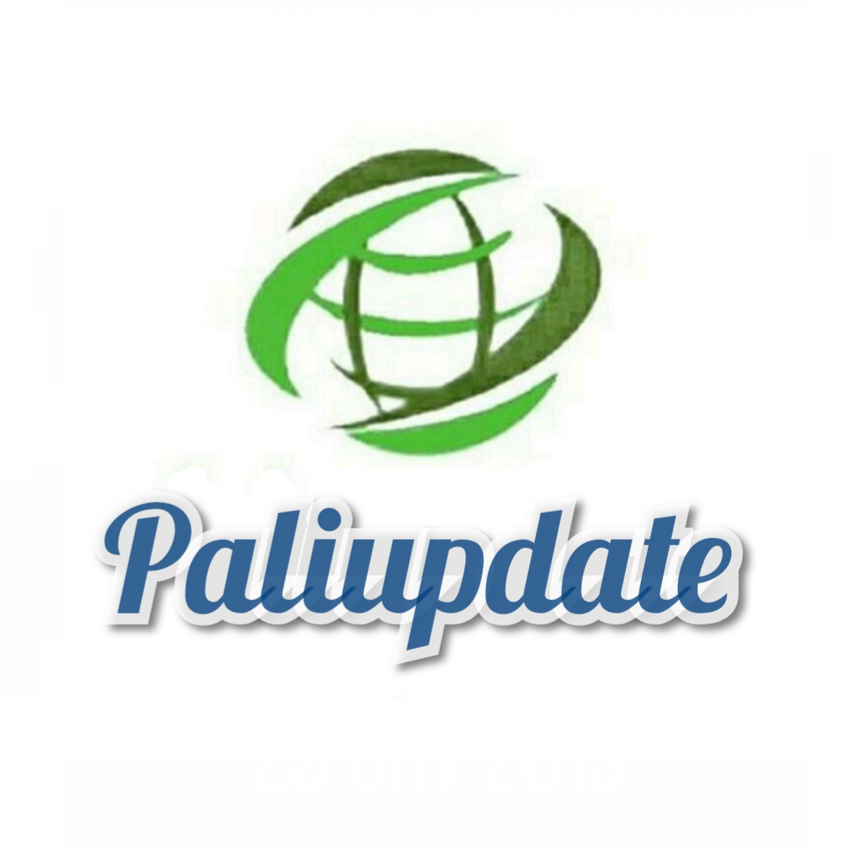 PALI Update